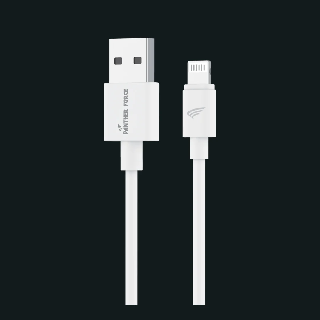 1M Fast Charger USB to Lightning